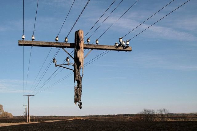 Burnt pole.jpg