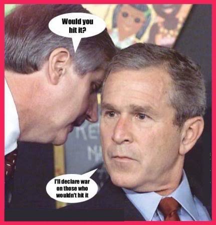 bush_f305b8f1d6007824184bcec701d255f8addf4e31.jpg