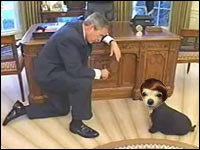 bush_lsocoee.jpg