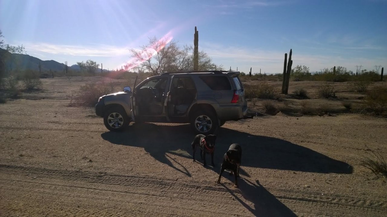 butthead and mutthead gila bend 2016.jpg