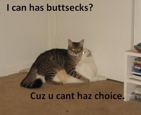 buttsecks_58341a570078d58fd7d97d3737cf8aa1f2c41d9b.jpg