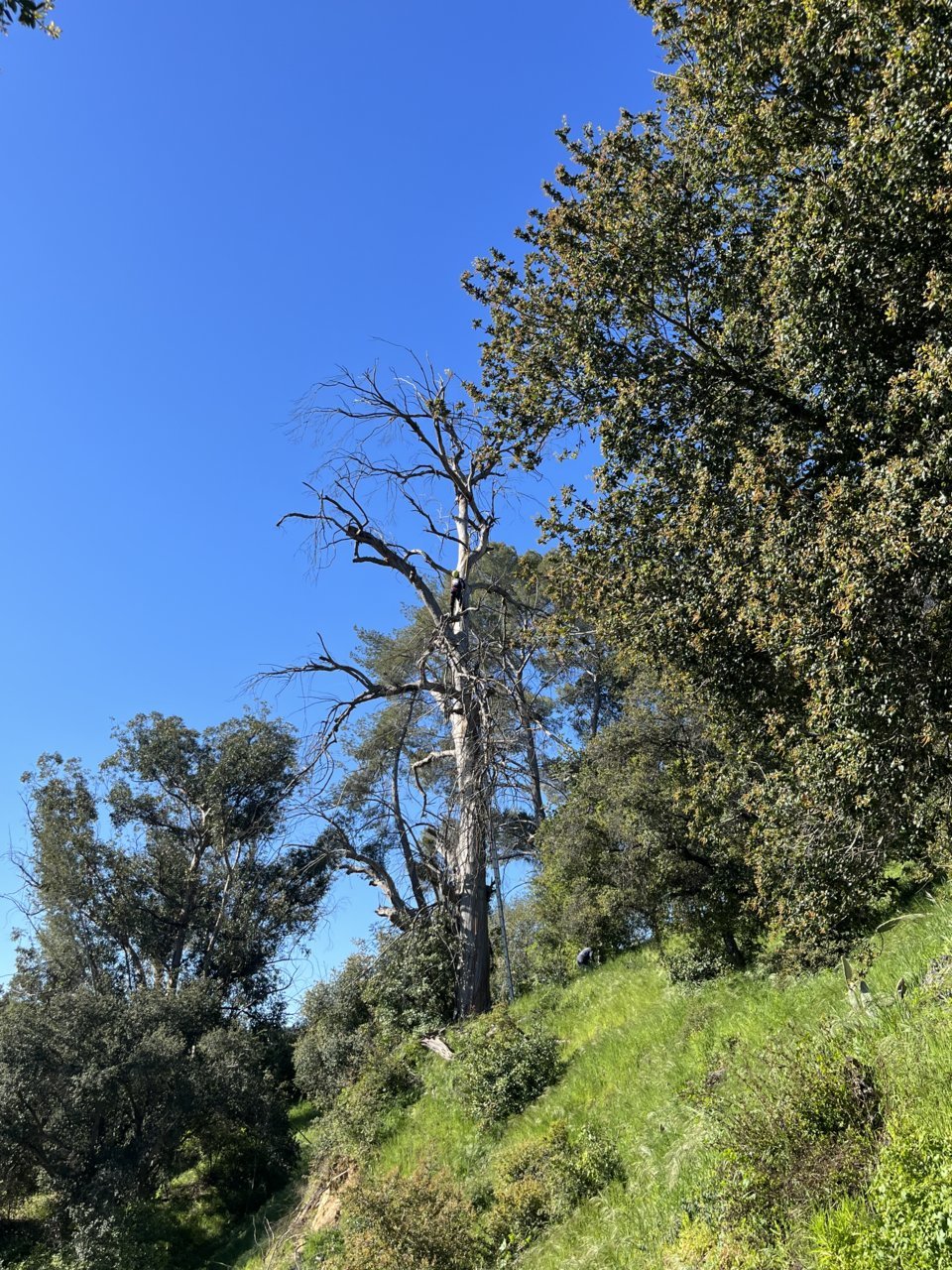 C03AA4CF-7DE5-470F-AA0A-8C40320C7B58.jpg
