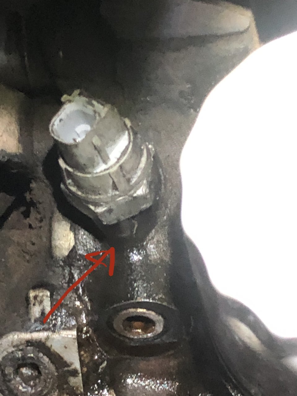 Subaru oil pressure on sale switch leak