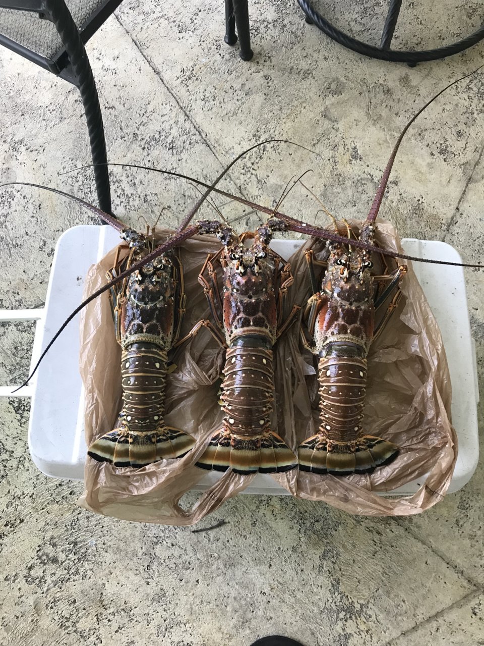 C05F42E8-BFB0-4BC0-AB66-8AA0633D41CD.jpg