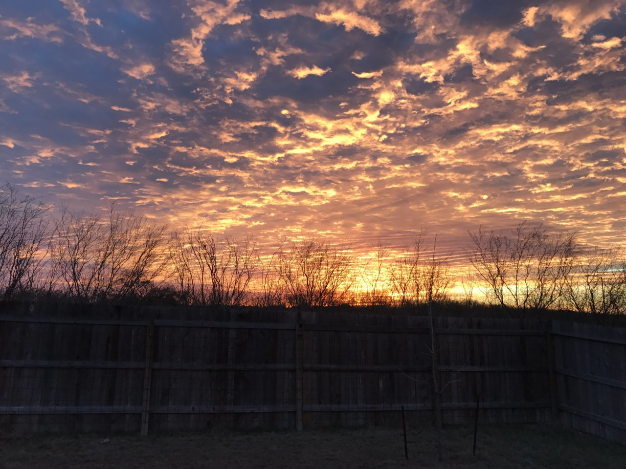 C07E6824-1936-4F58-A46C-603F4554BDC9.jpg
