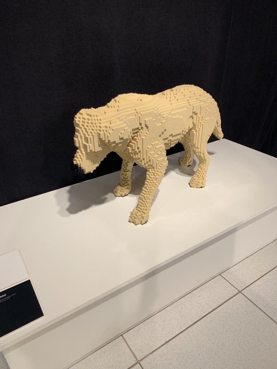 C092AB2A-F39B-45C4-B91B-34F72D4E8B09.jpg