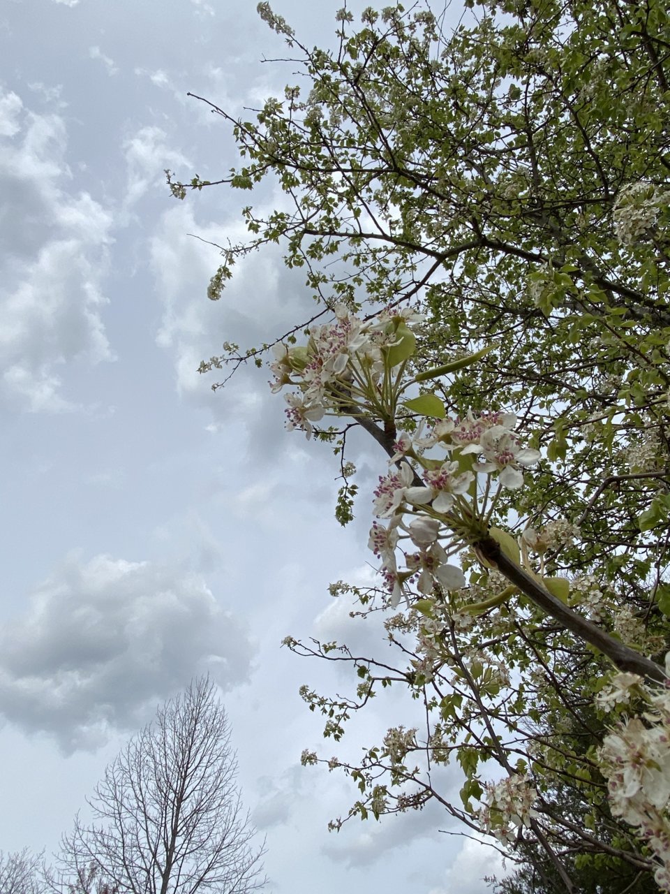 C0D6D13F-2C75-4C5B-8875-1BBF699C6A73.jpg