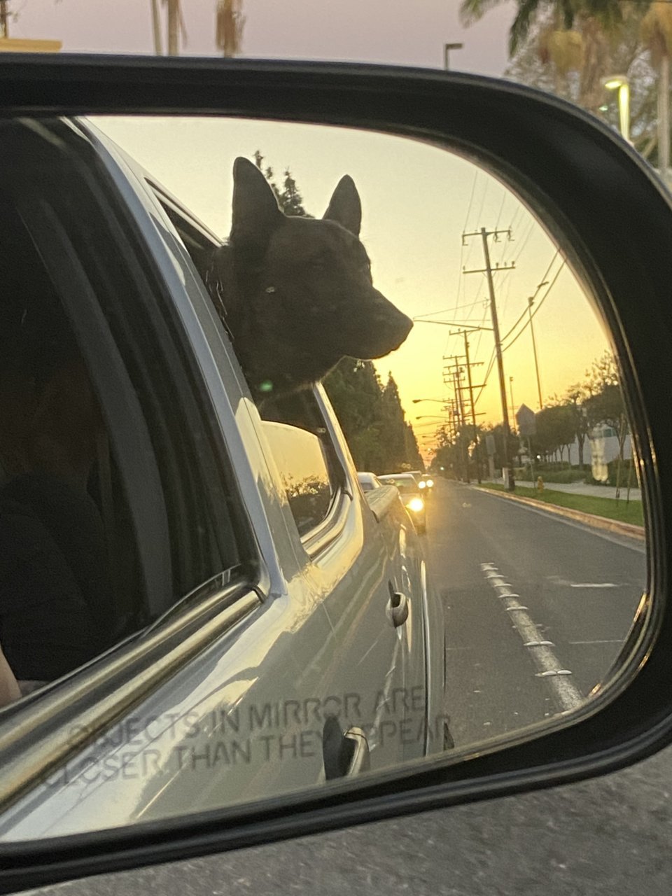 C0E45A77-E6AF-4FAB-B444-C993856A67DA.jpg