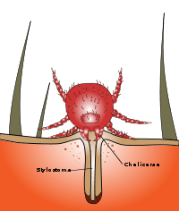 C1148598-B21E-48D9-B938-F3692B5DBD00.png