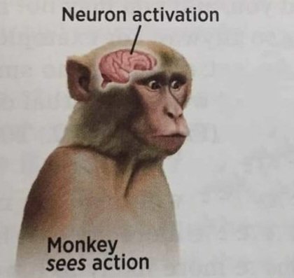 c1d1f892b90223dc6ae5b5670b4e8b1f1cd739f28fdec63b0aeb7d1b794bc73f_1.jpg