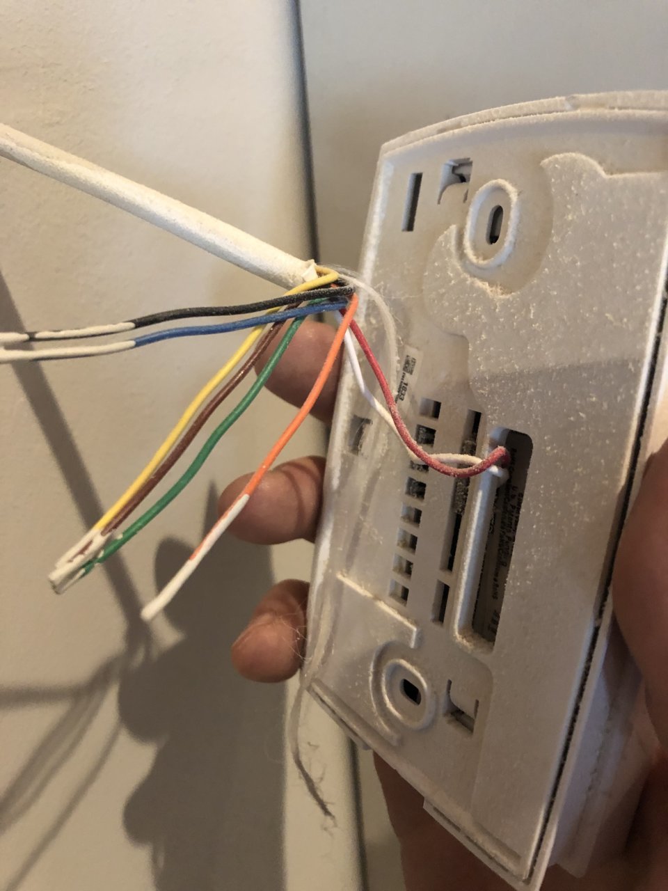 C1F750E9-1D19-46FB-BE94-8C6826FF3B7E.jpg
