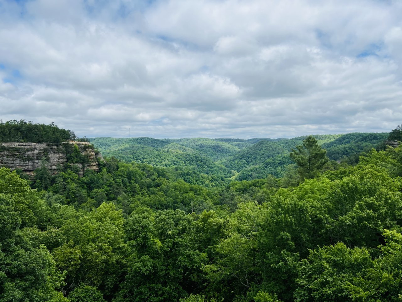 C2352486-7CA1-4802-8EB1-FF5110C29B7B.jpg