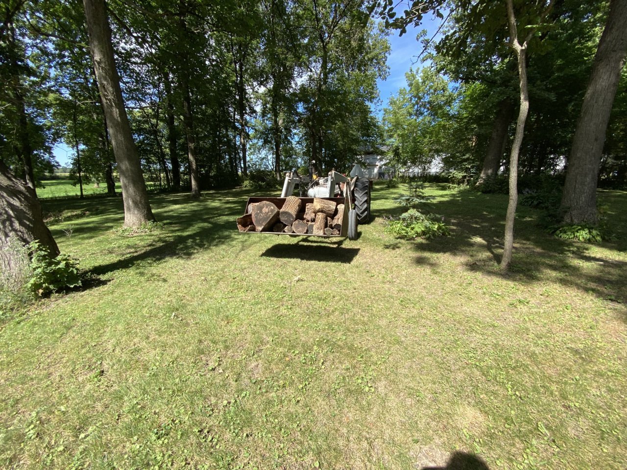C260AA6D-8603-4663-919E-D3028FD213BA.jpg
