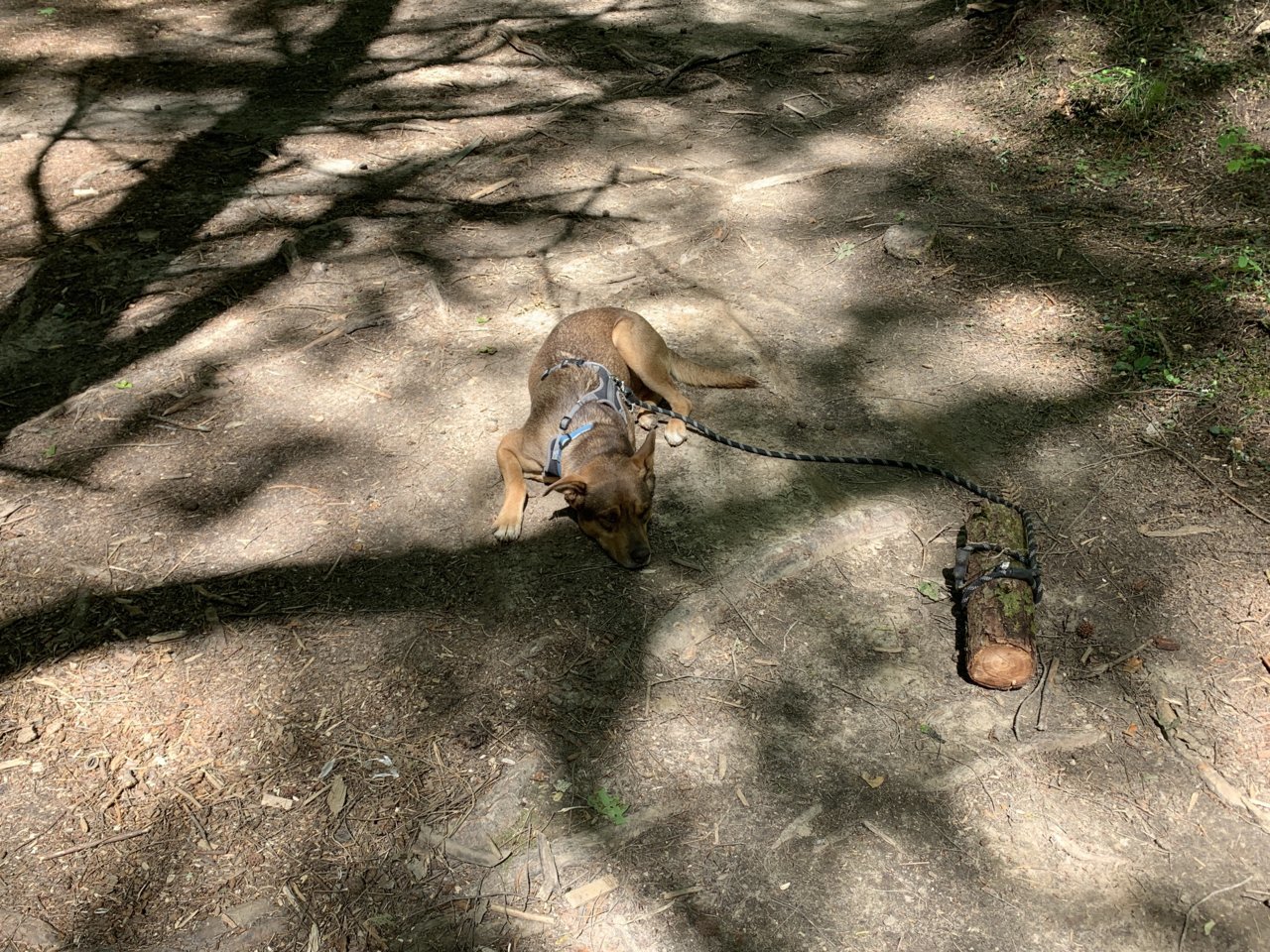 C2B79682-3FBD-4794-AD22-AFAEE3A78E51.jpg