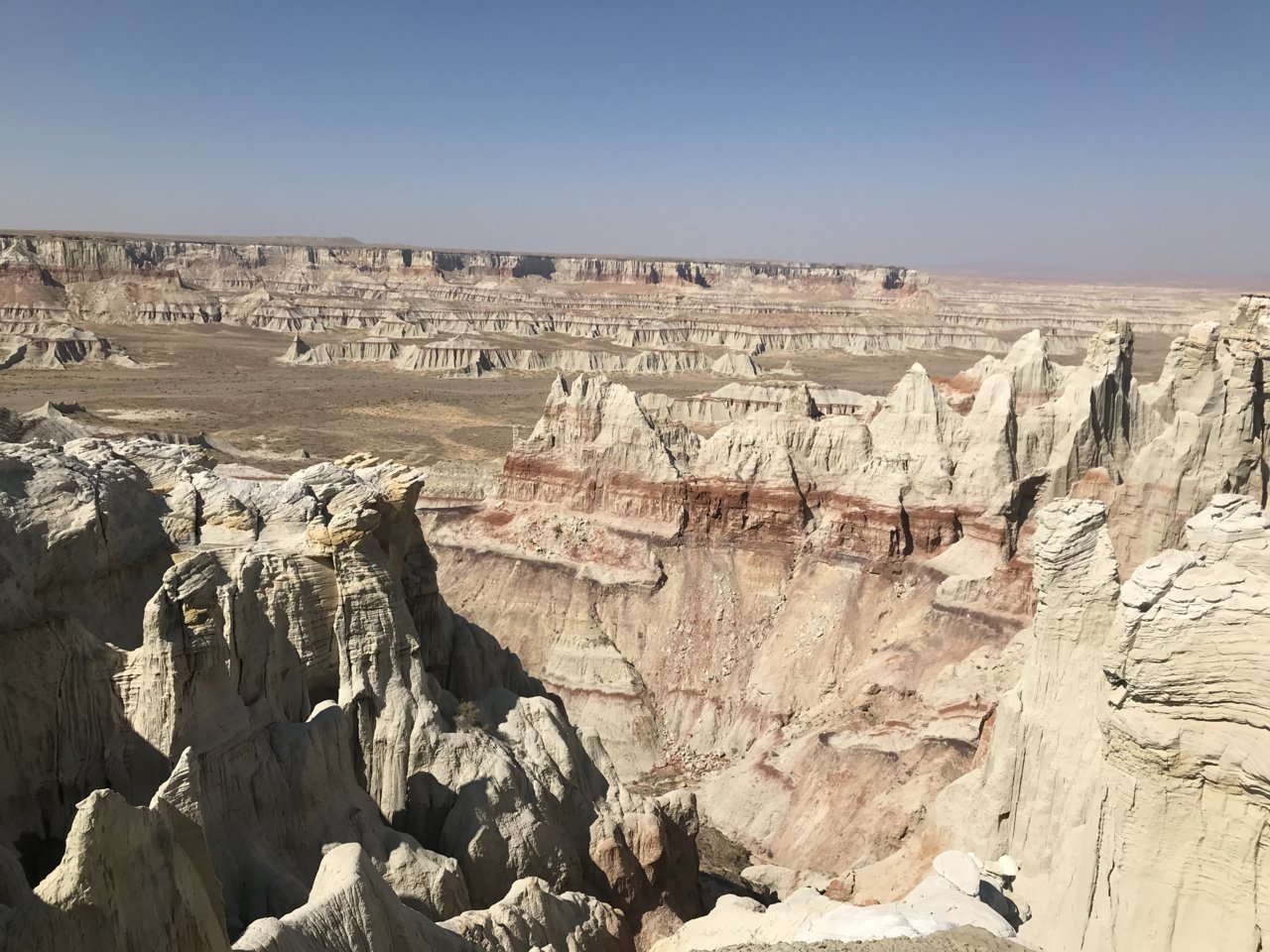 C2D48873-66C8-4D06-8BF1-7B032B1092FD.jpg