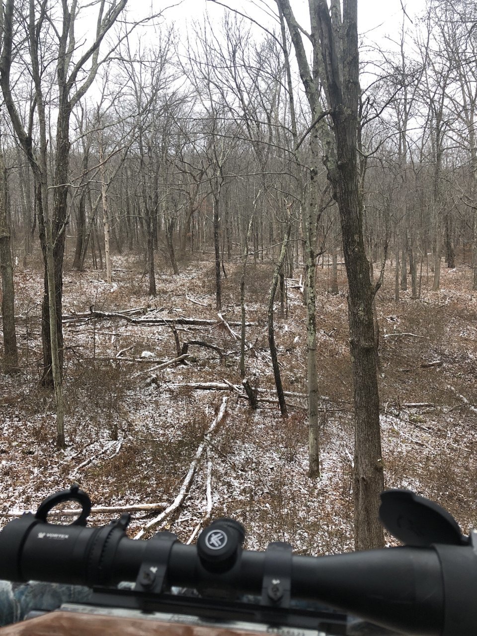 C2E40FF6-6AF6-4027-84E7-272ED2FE8337.jpg