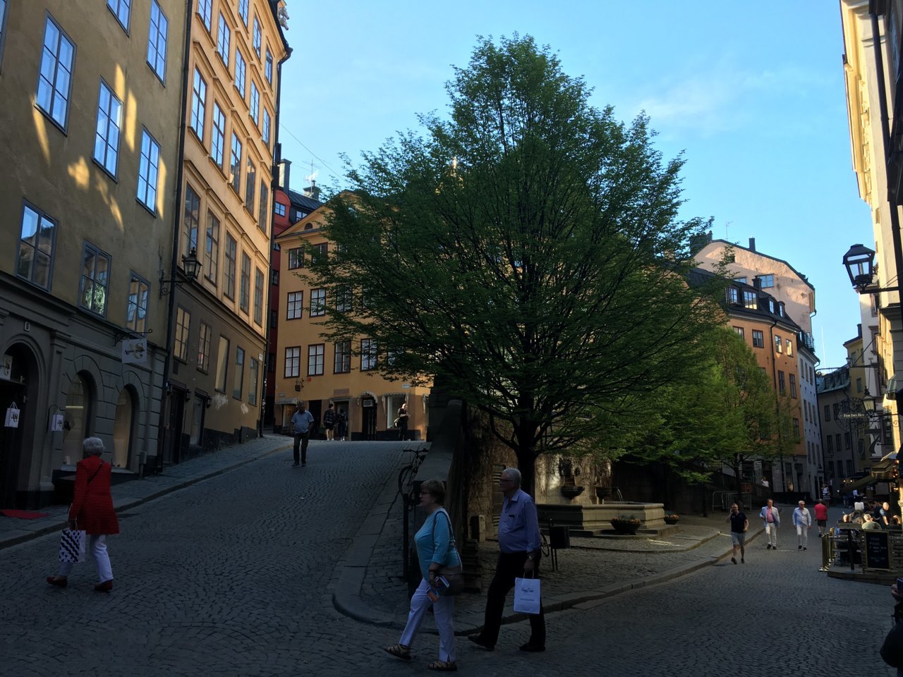 C2F6A2E9-B355-4F43-8E0E-9201162A63AA.jpg