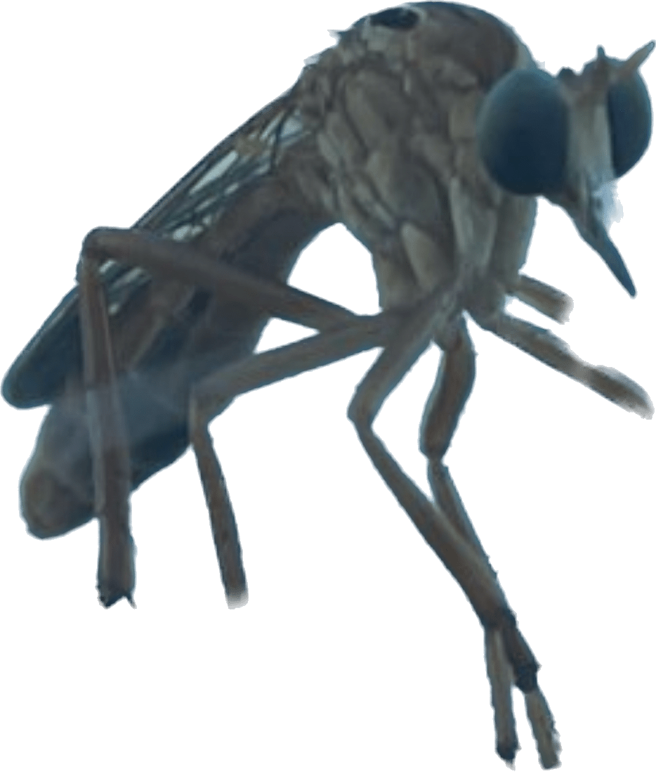 C36EF9DF-B18D-41E7-84B4-04A7135EB3A2.png