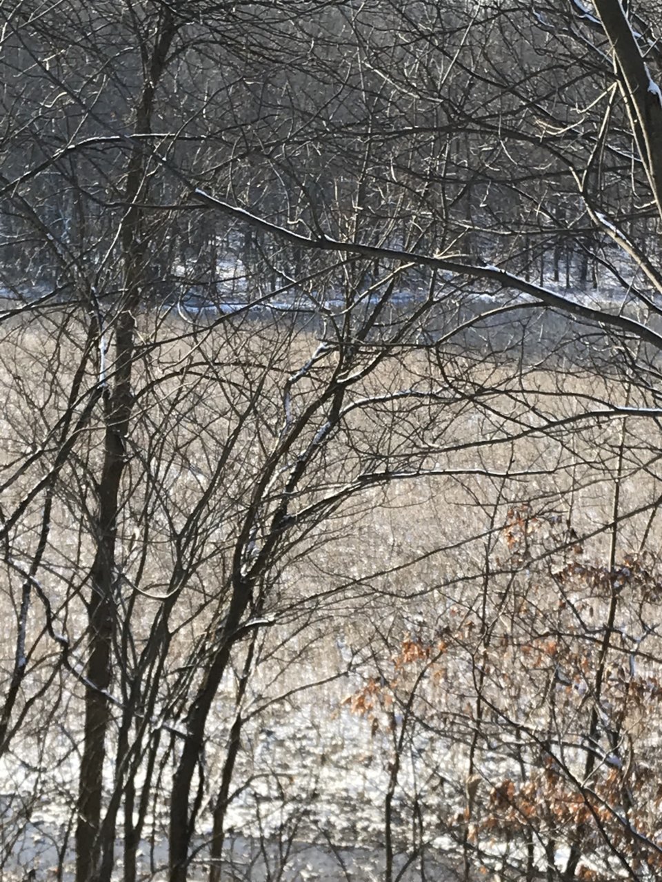 C3AAAD08-7396-4493-98FF-453EEA6E2362.jpg