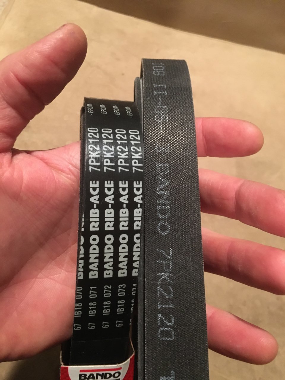 C3AE0268-C5CA-4327-94C1-ECFE9BC95550.jpg