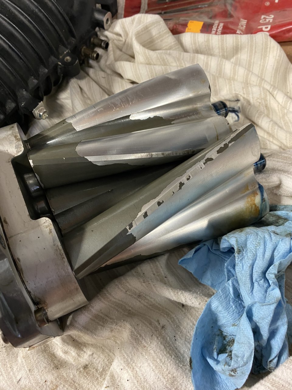 C3CCBAFE-ACFA-4913-AF91-33E653C6BFEB.jpg
