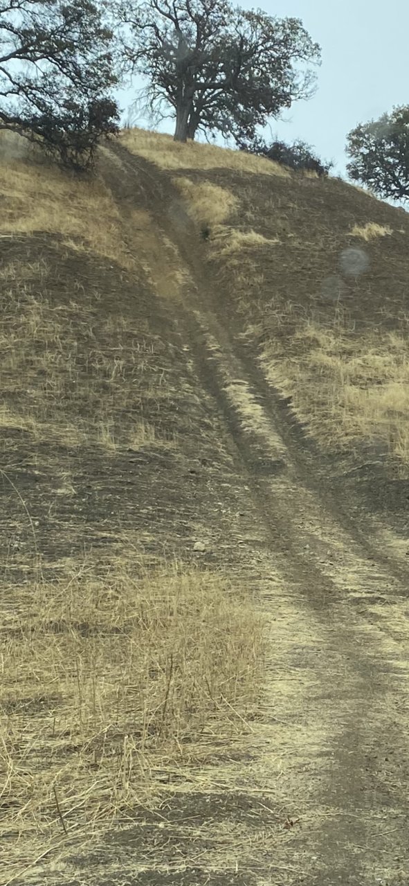 C3CCC6B8-FF62-40C0-9F9D-5129447D612D.jpg