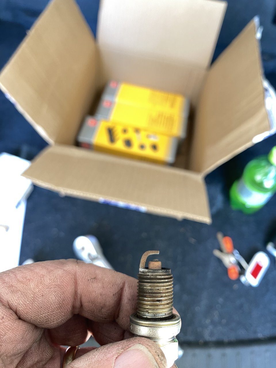 C3E31CF5-A123-44FF-8FC5-8681E55639D3.jpg