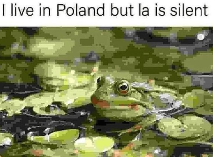 c3ed4d1c722e62cf1a69e696c7437cf6.jpg