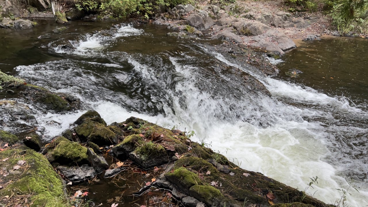 C4130F02-0343-455F-9641-ED514BAEC02F.jpg