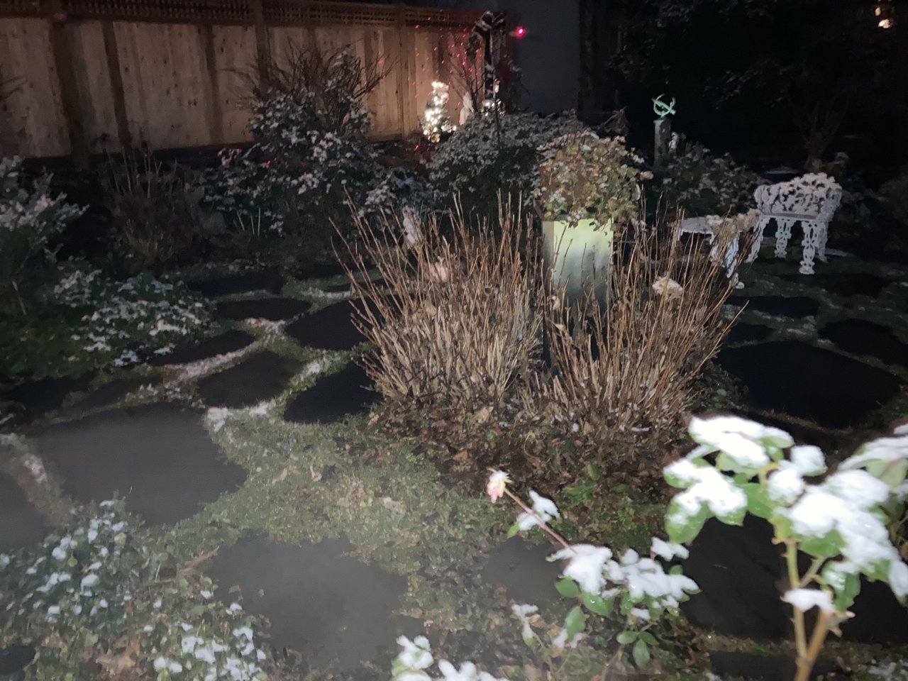 C416DEC7-40EC-4809-A603-E7938FF3A028.jpg