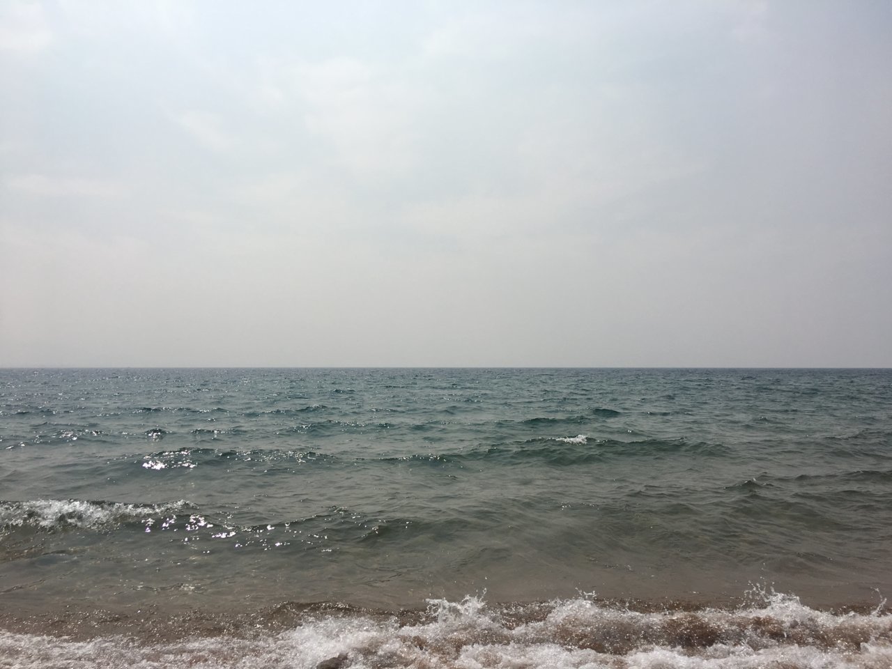 C4BDD382-D9CC-4F29-B19D-D6B1051E0185.jpg