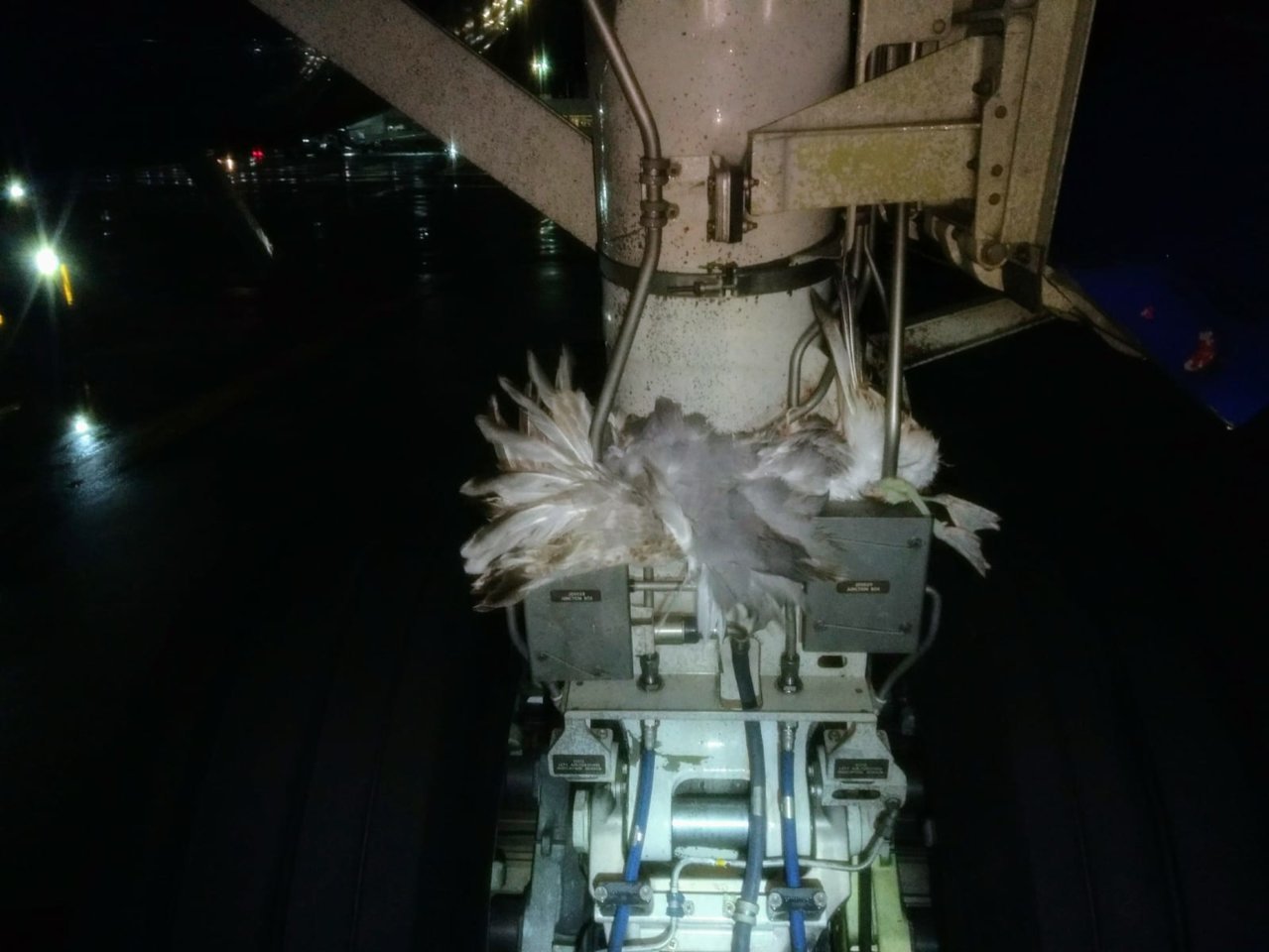 C513A65A-09DA-464B-B8CE-F0EEAA62F036.jpg