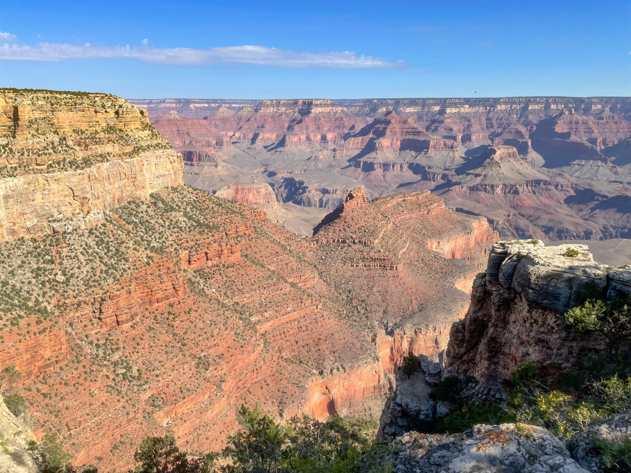 C535541F-0F36-446E-9326-28797C761066.jpg