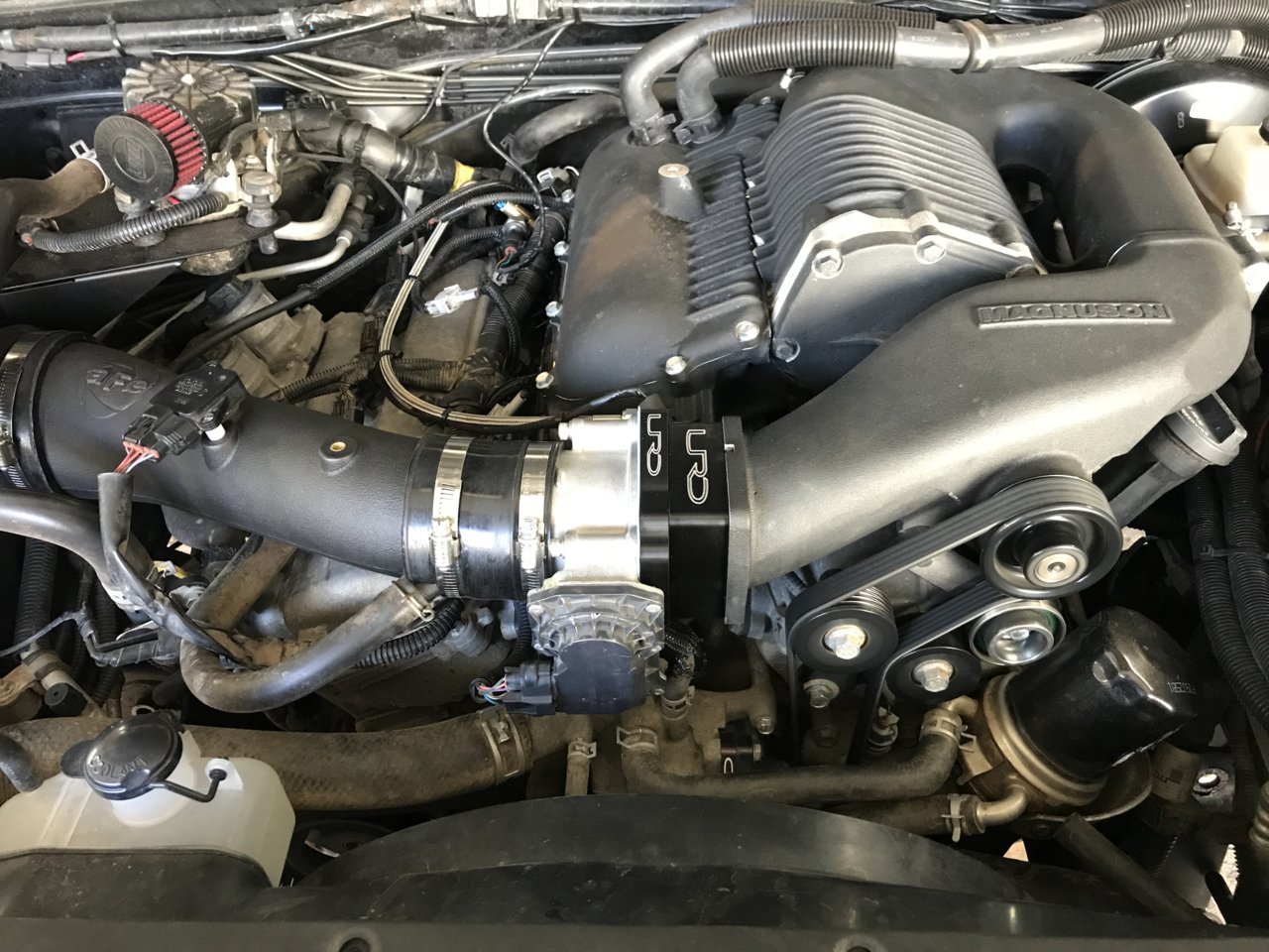 C53ABA79-4AA1-4FAD-919C-8D82740398E9.jpg
