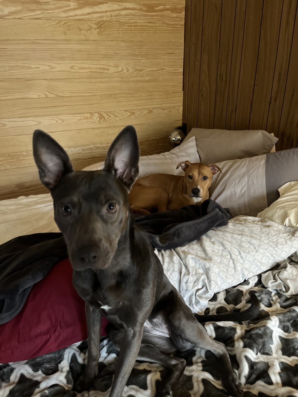 C54EEFE1-3E79-4134-A772-BE33BC1A4D0D.jpg