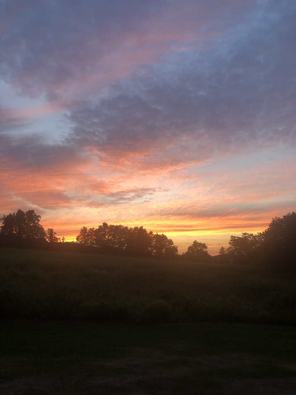 C5BD52F5-BAA3-490F-85A9-D57766D35F96.jpg
