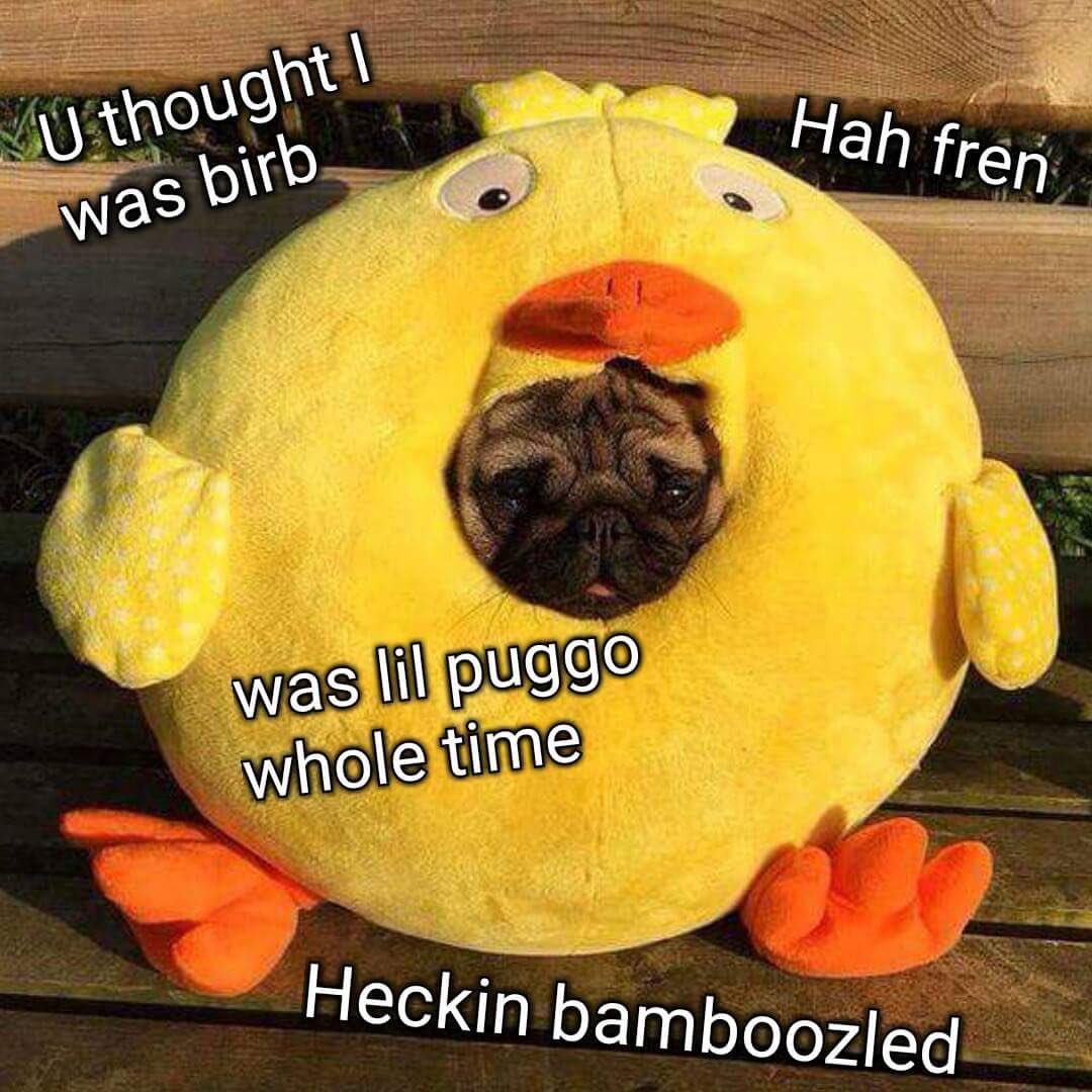 C5hE3dQWMAMpCma.jpg