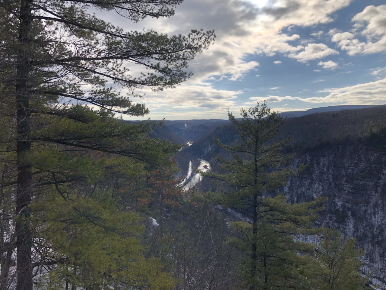 C610F0A2-C714-43AB-91E2-891F3A7306EB.jpg