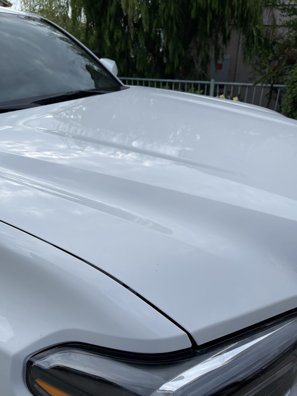 C63CB624-1BA7-4532-835F-90C2F64E4B6F.jpg