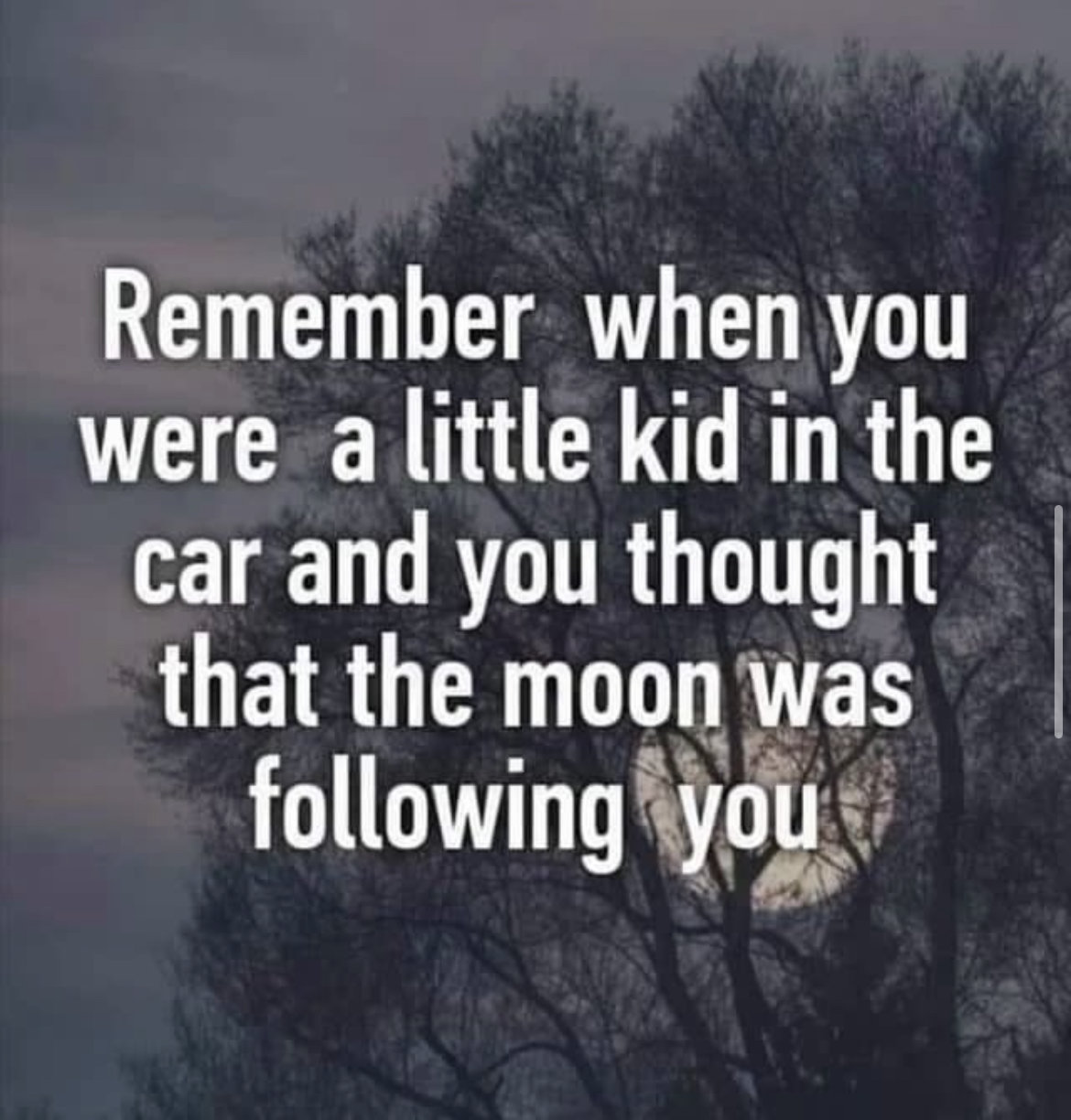 C644563C-9F27-4C0C-8A25-50AFECD53338.jpg