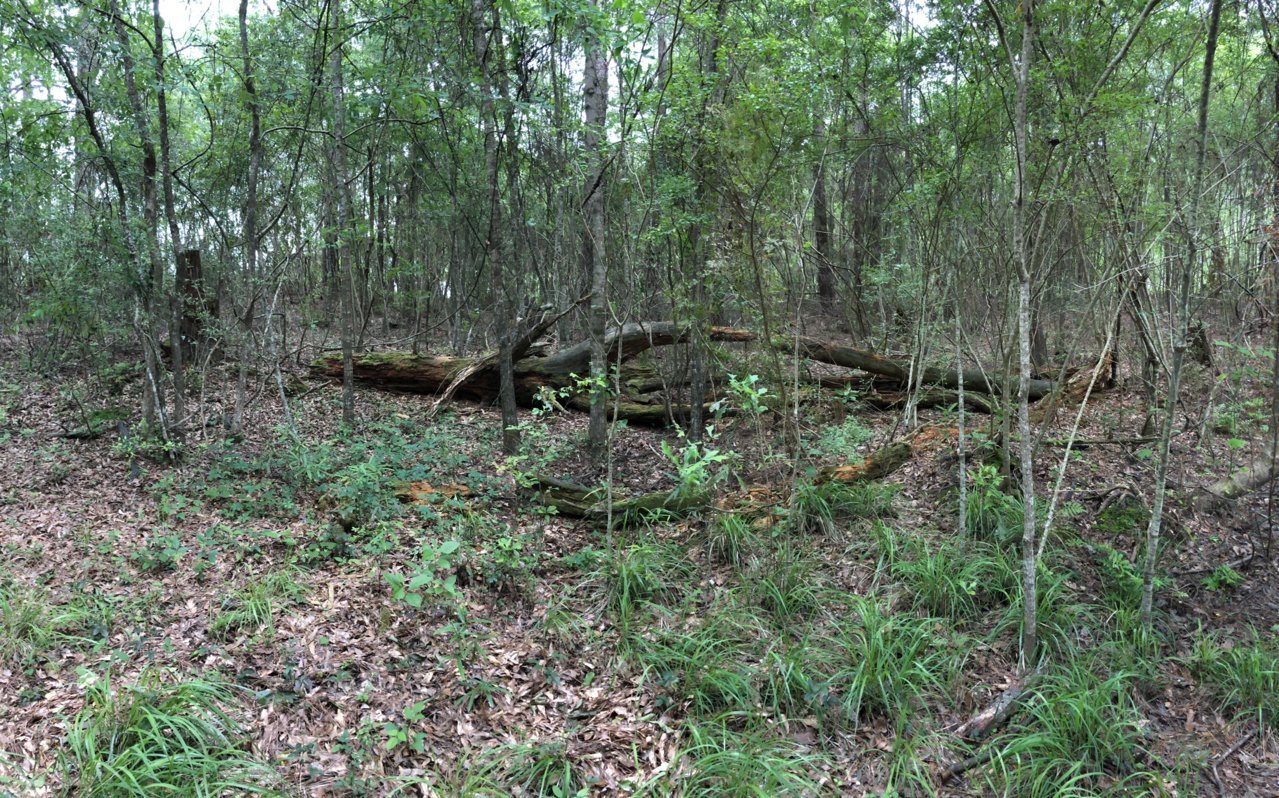 C656468C-2188-4364-906E-E08CFA40DEA0.jpg
