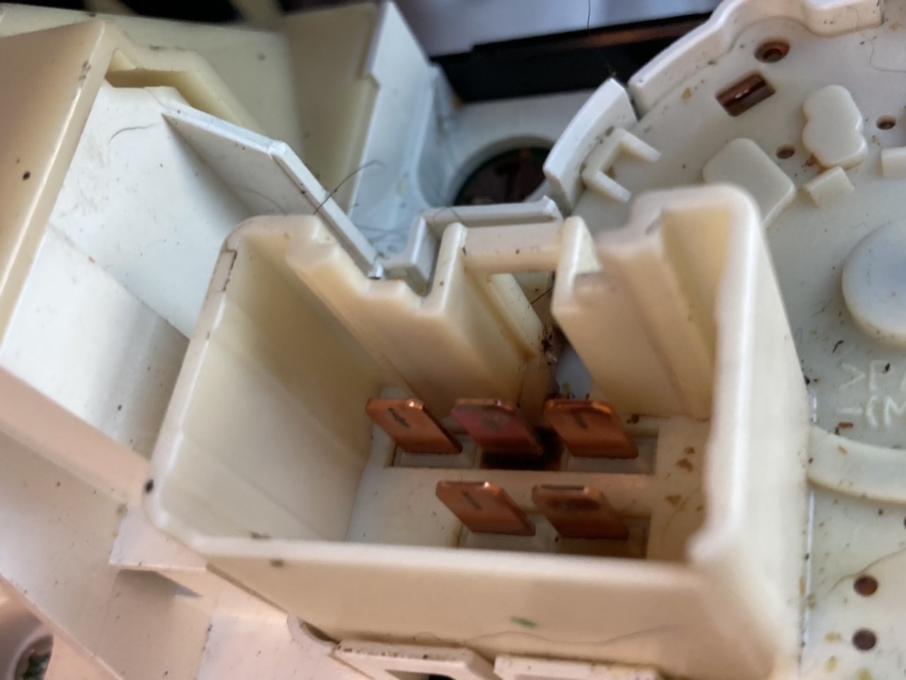 C6625A48-FA84-46ED-95F6-D7B0AF7651FC.jpg
