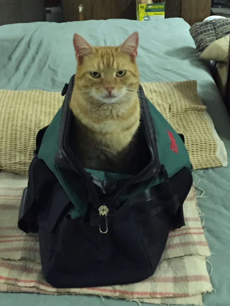 C6E00F88-C5E7-4E9A-A843-5F95C1D8C5ED.jpg