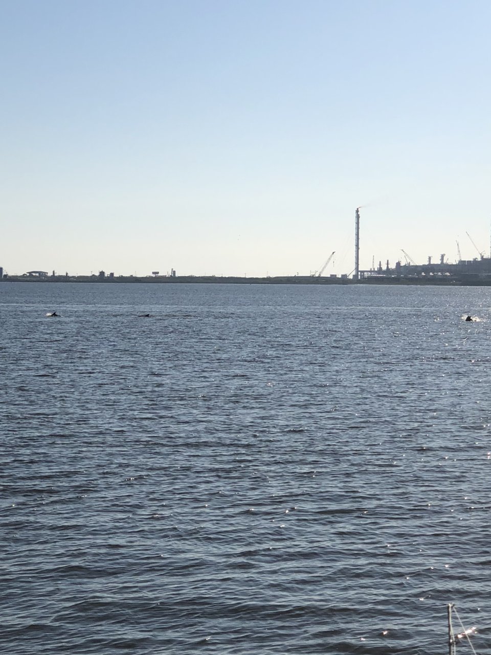 C7391FF5-0BA3-46EE-9E88-2E7F91633F0C.jpg