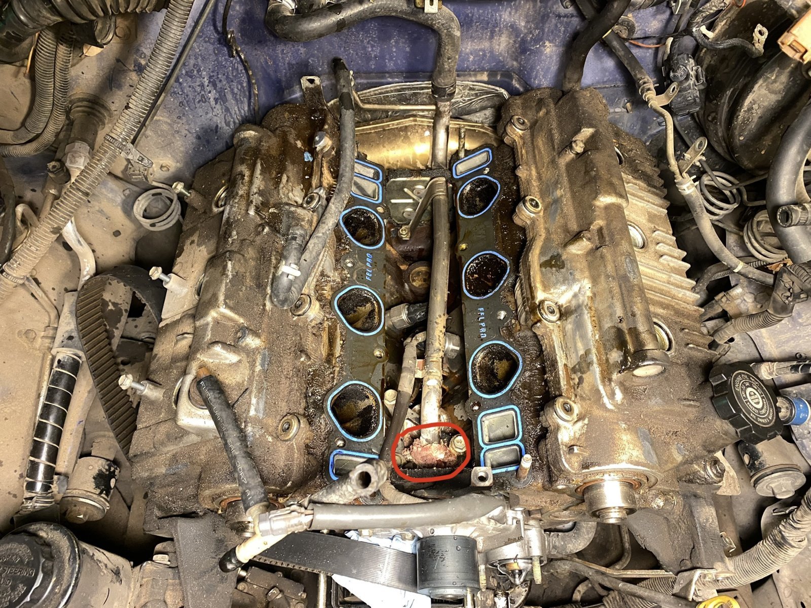 C77BDFD8-B30F-4F23-B441-EE40F2692A51.jpg