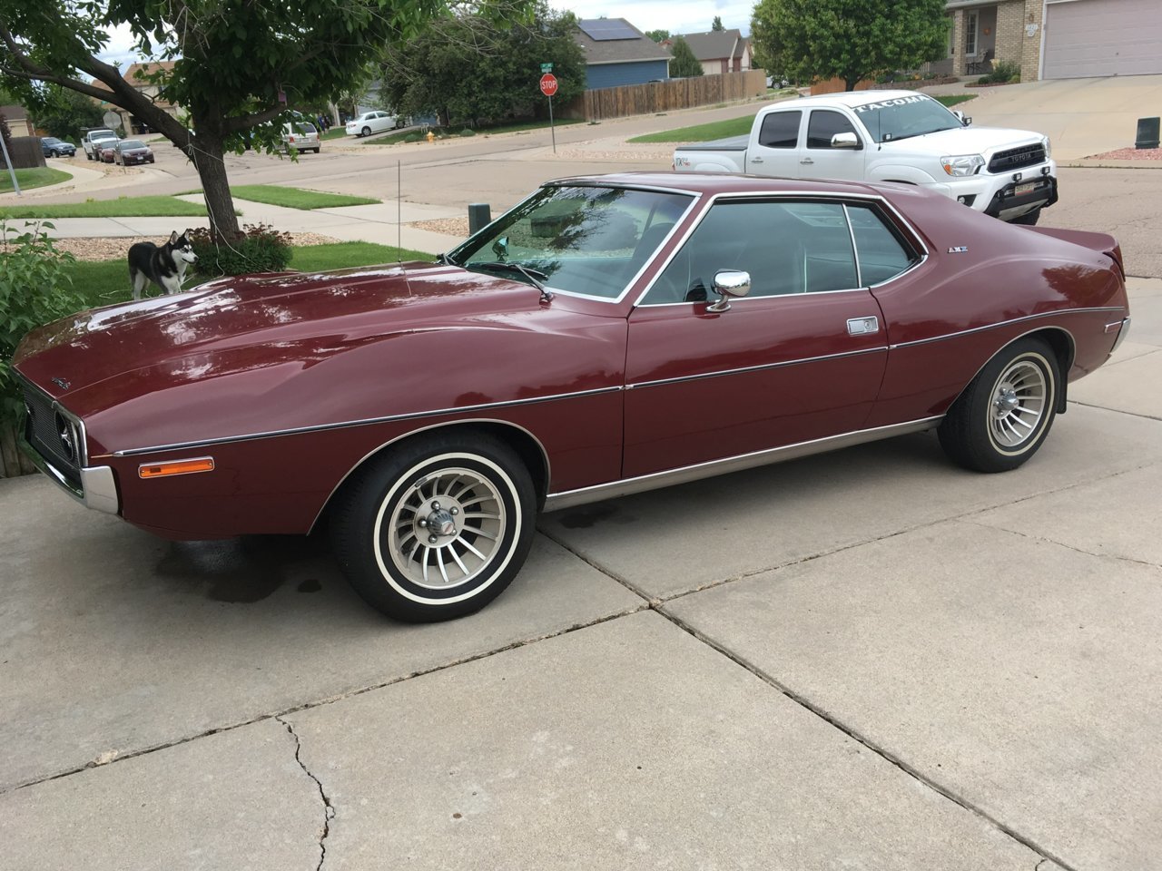 C7A62288-C5D7-4F24-B55E-71B6F3981A99.jpg