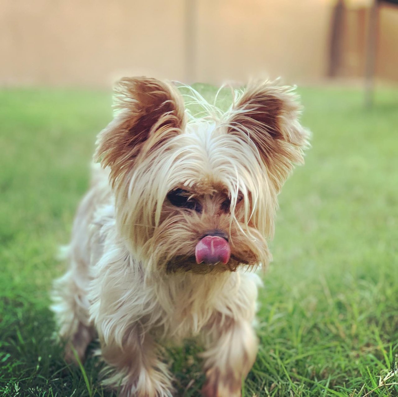 C7B51316-3AD4-41C4-845E-B6504BE27DA5.jpg