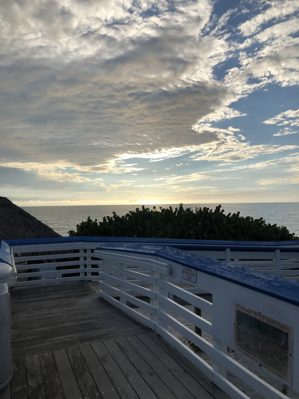 C7E259F6-7805-466B-B831-E4CCF0B10F9E.jpg