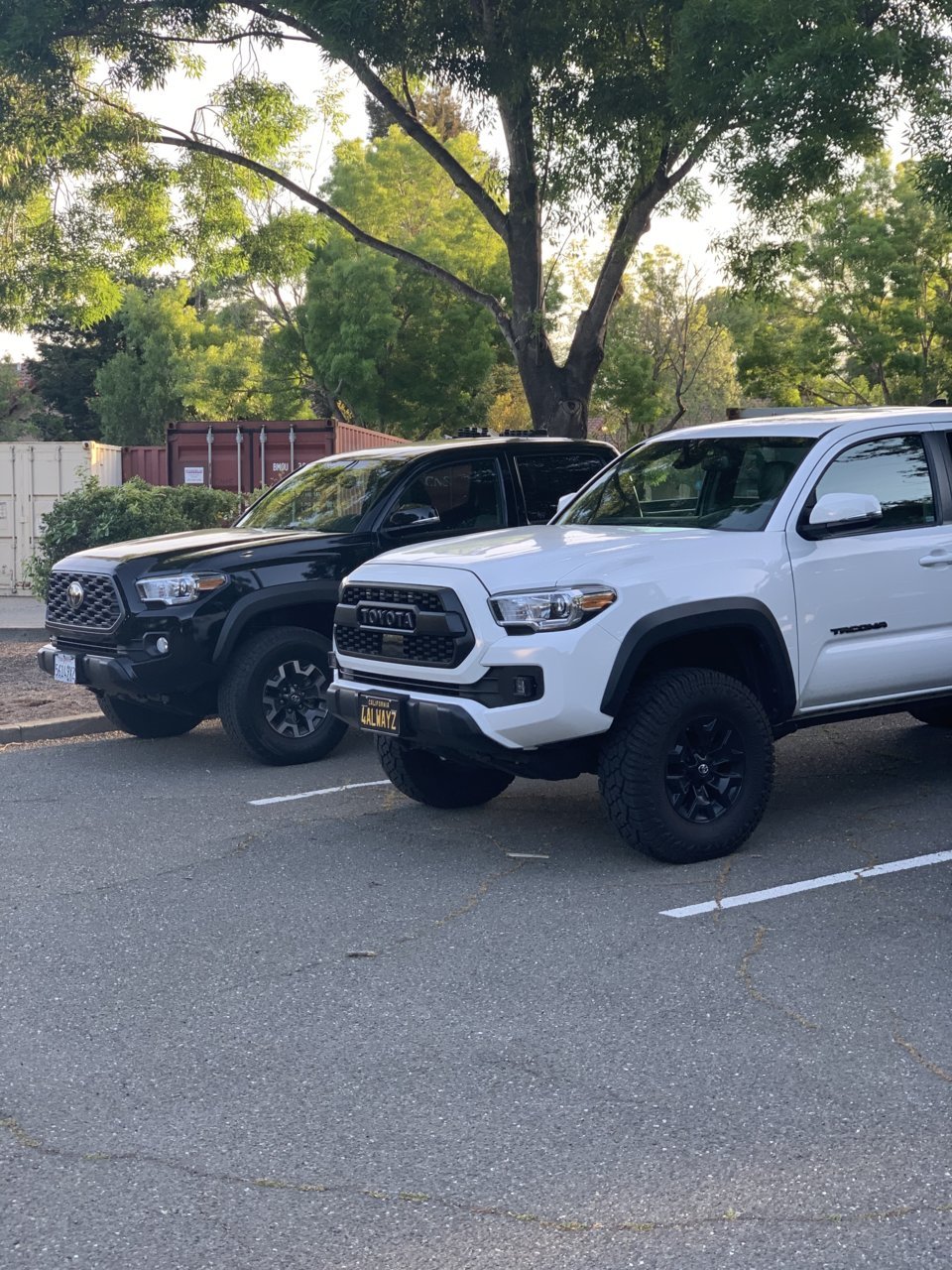 C7FCD104-AE23-4E65-9BB8-5B5241D377A2.jpg