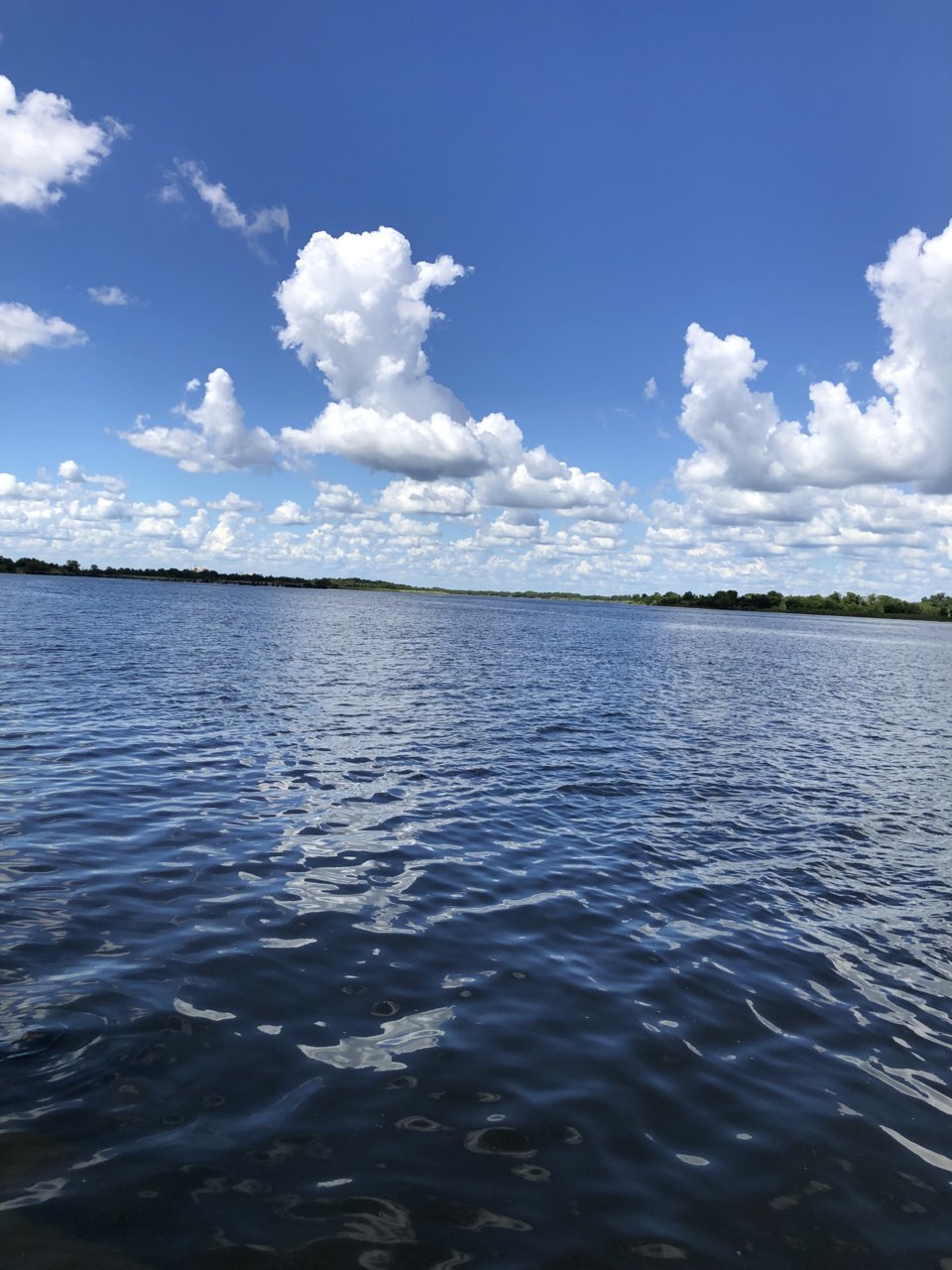 C81475B9-D666-43D8-96D4-D96699534E22.jpg